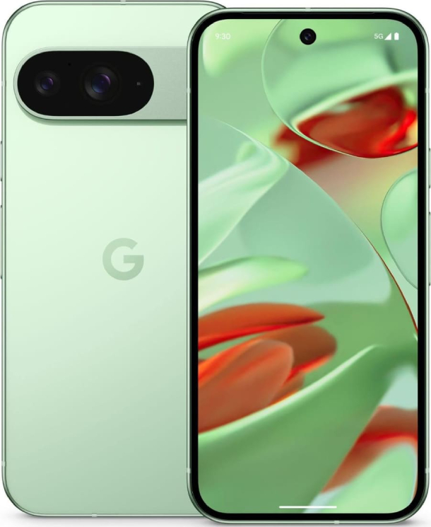 Смартфон Google Pixel 9 12/256 ГБ Wintergreen